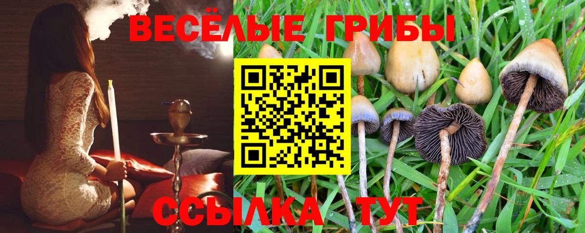 Псилоцибиновые грибы мухоморы  Вход с VPN  Галлюциногенные грибы Magic Shrooms  Звенигород 